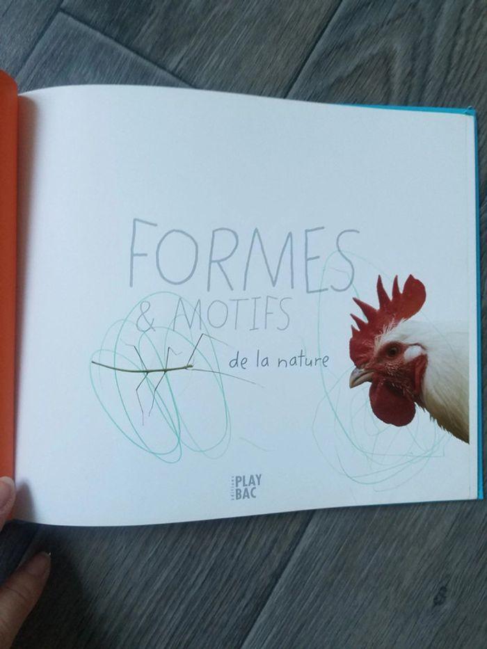 Livre formes et motifs bon état - photo numéro 3