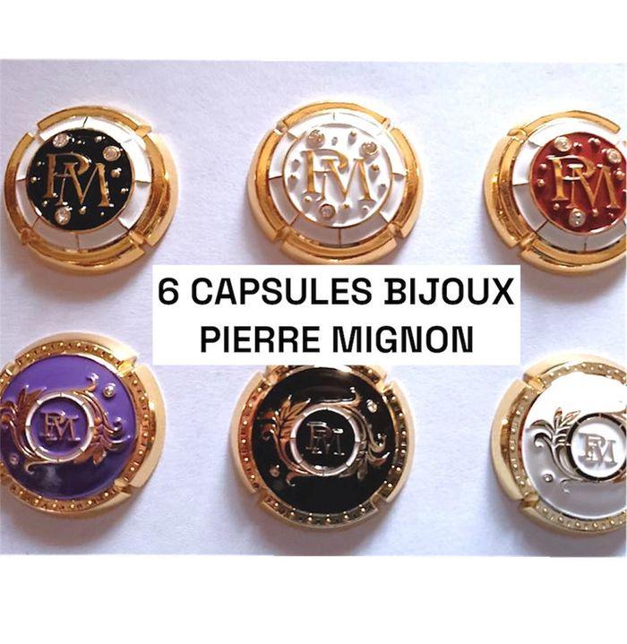 6 capsules bijoux Pierre Mignon 💎 - photo numéro 1