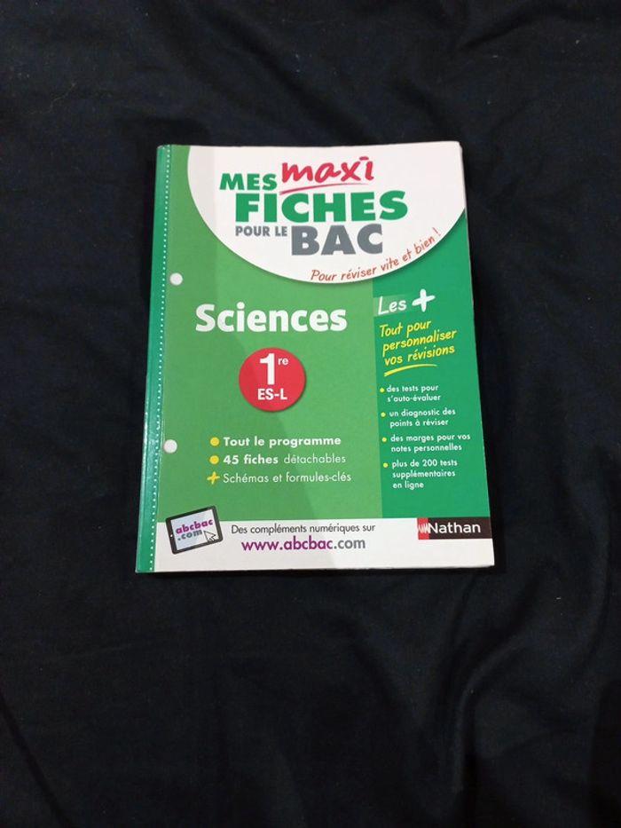 Mes fiches bac - photo numéro 1