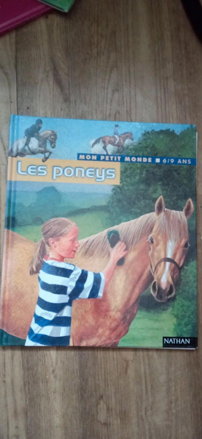 Les poneys - photo numéro 1