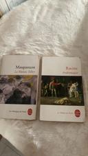 Lot maupassant racine