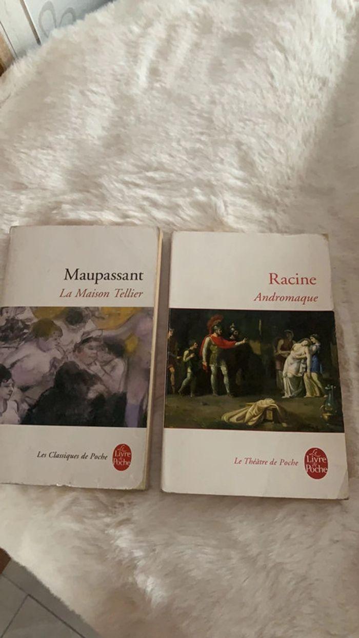 Lot maupassant racine - photo numéro 1