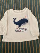 T-shirt baleine absorba