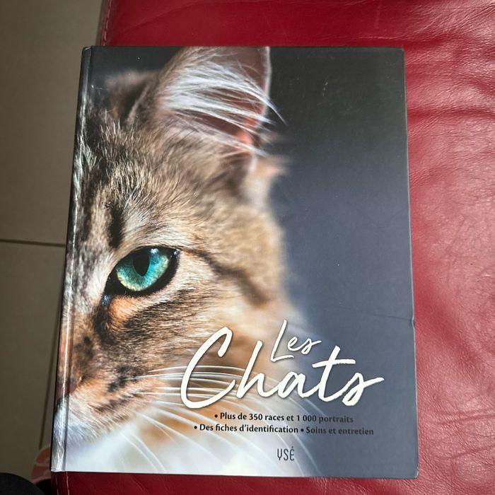 Livre les chats, grand format - photo numéro 1