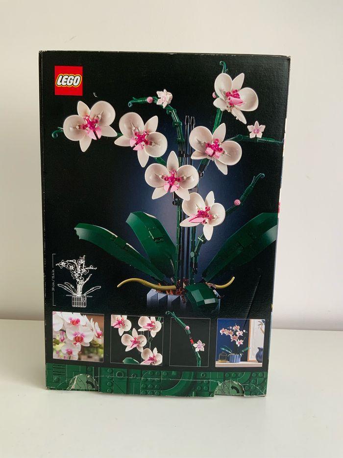 LEGO 10311 Icons L’Orchidée - photo numéro 2