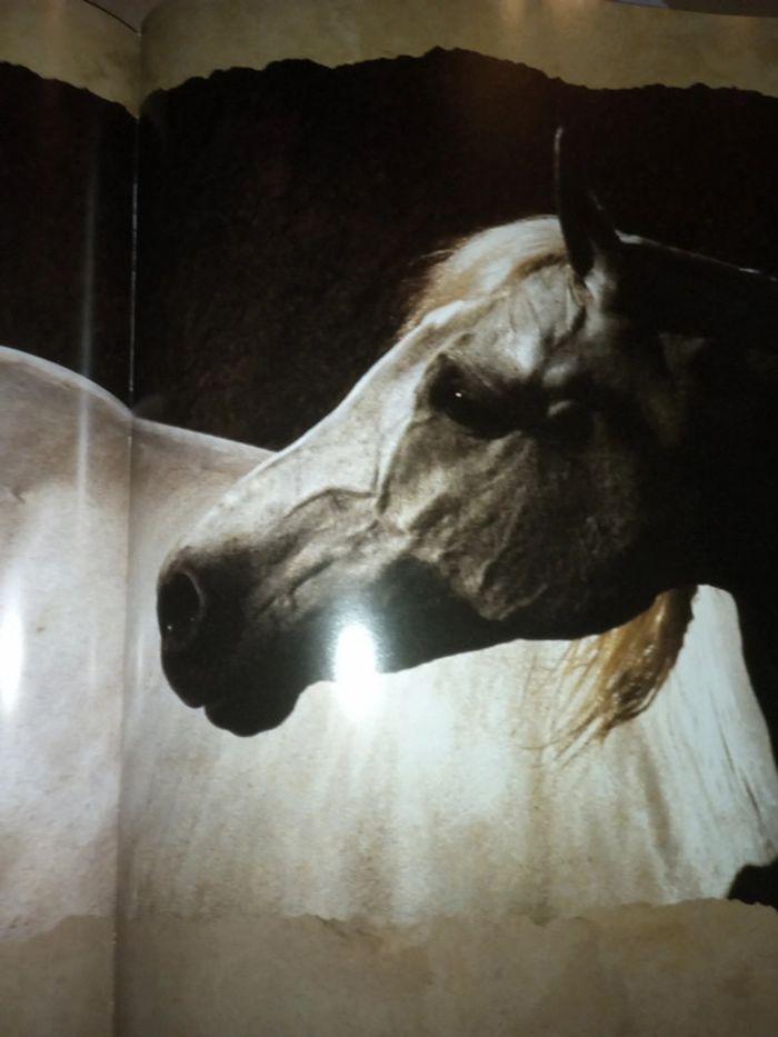 Gros livre les chevaux du soleil - photo numéro 14