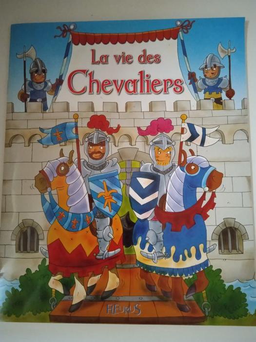 Je joue avec les chevaliers - photo numéro 7