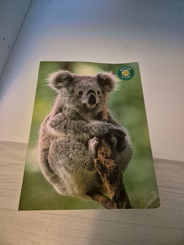 Cahier 24x32 koala grands carreaux 96 pages - photo numéro 1