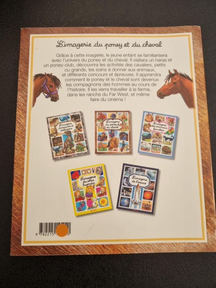 L'imagerie du cheval - photo numéro 2