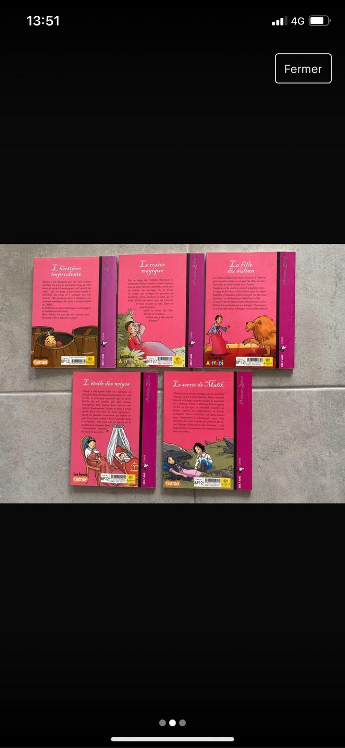 Lot de 5 Livres Princesse Zélina - photo numéro 2