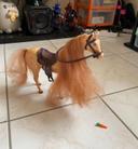 Cheval de Barbie