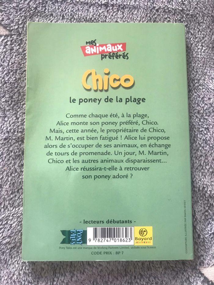 Chico le poney de la plage - photo numéro 2