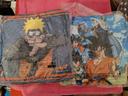 Lot coussin manga