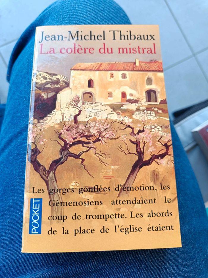 livre “La Colère du Mistral” de Jean-Michel Thibaux