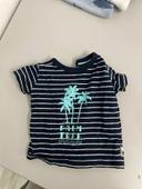 T-shirt palm tree