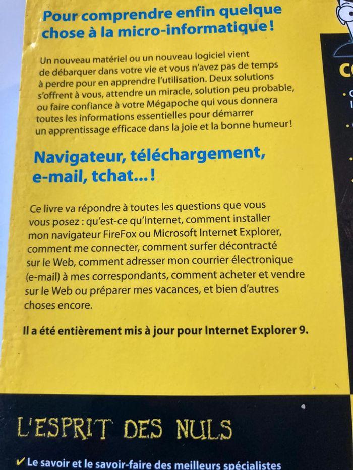 Pour les nuls Internet de À à Z - photo numéro 3