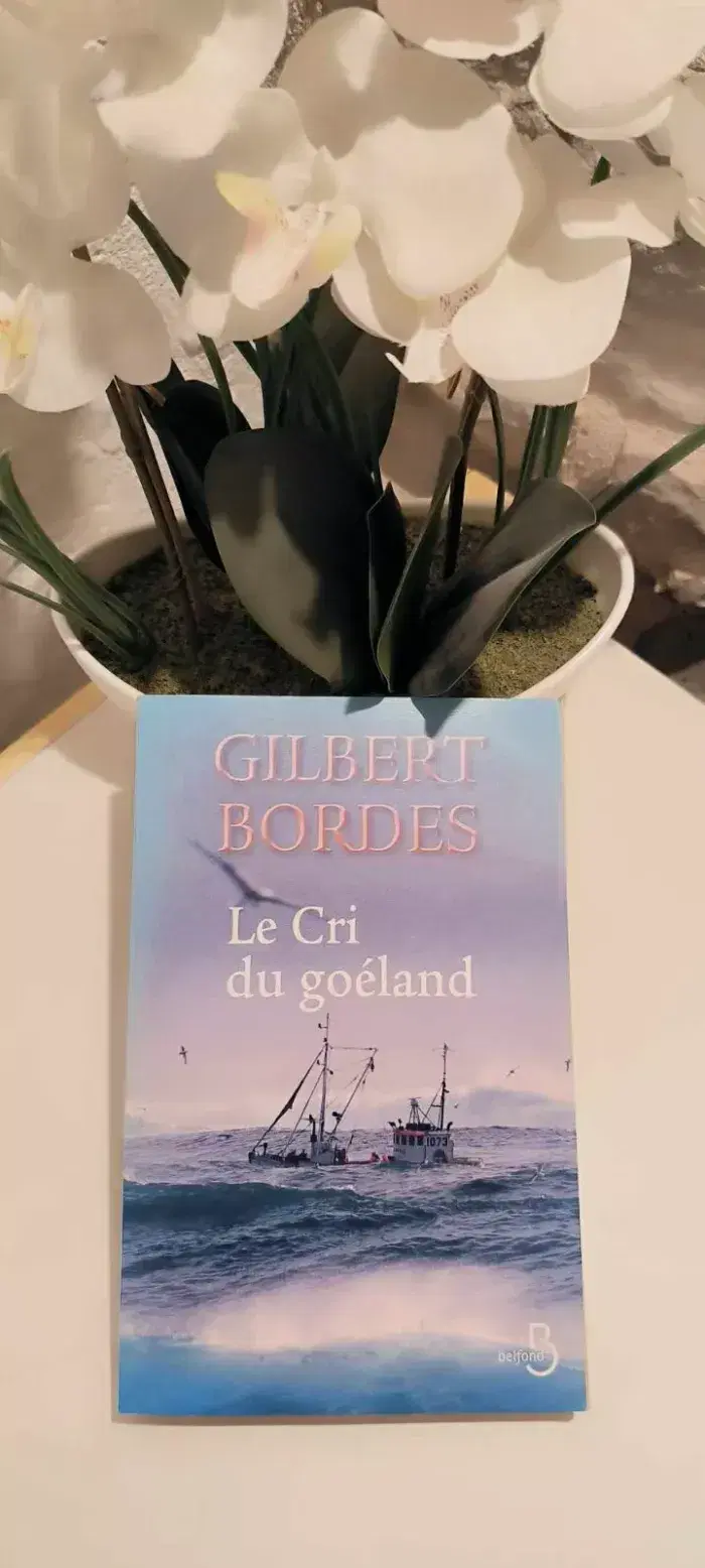 livre Le Cri Du Goéland - gilbert bordes en tres bon etat - photo numéro 1