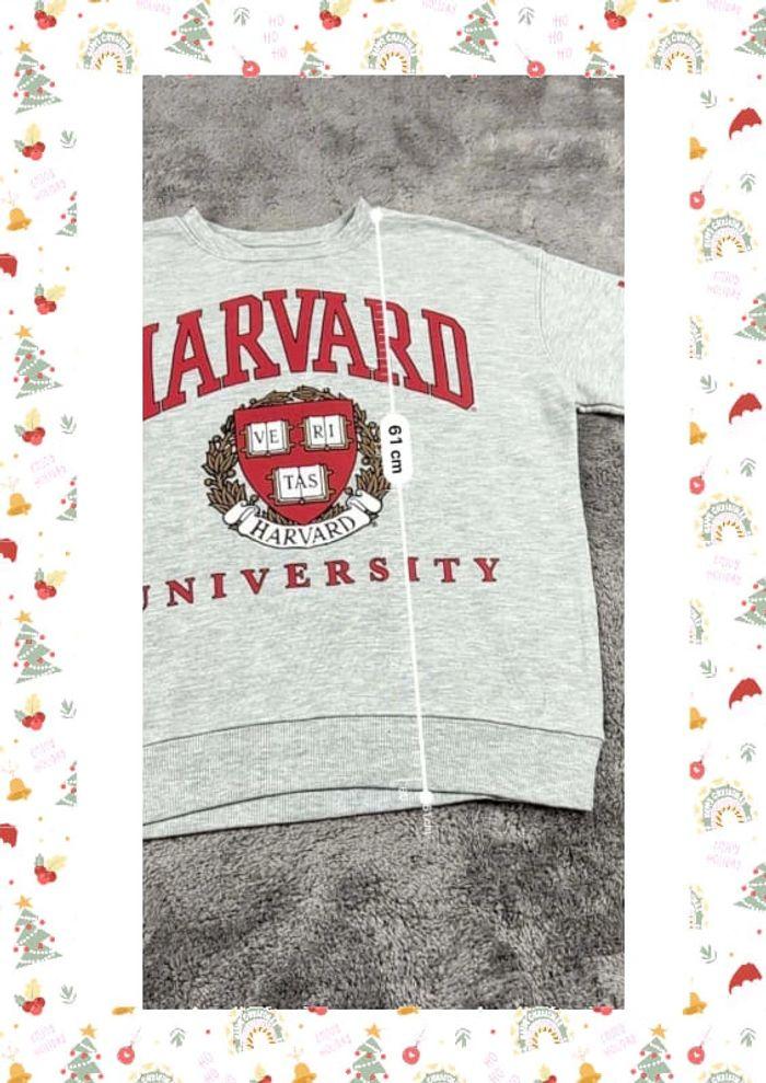 👕 Sweat à capuche Veste University Rare Vintage y2k 90s 2000s Harvard Gris Taille S 👕 - photo numéro 3