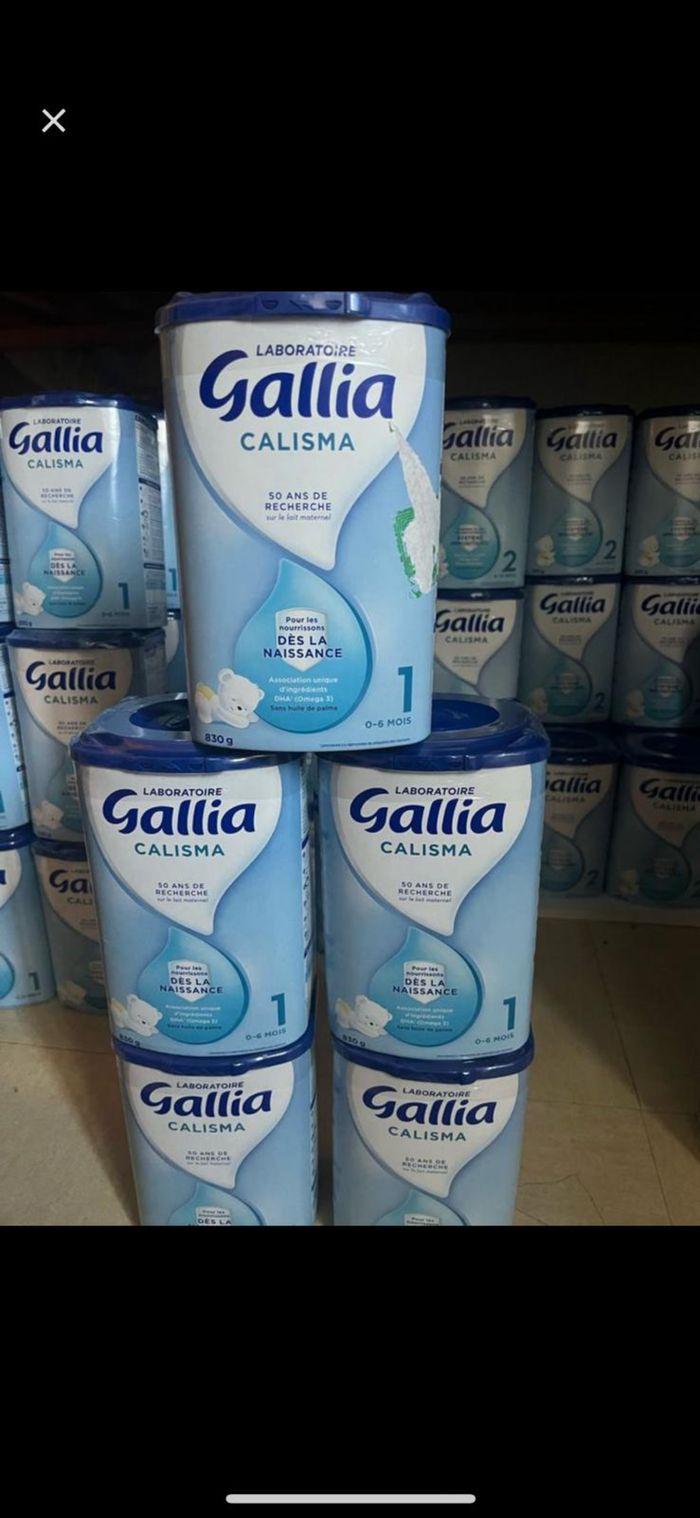 Gallia - photo numéro 5