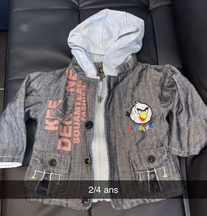 Veste angry birds - photo numéro 1