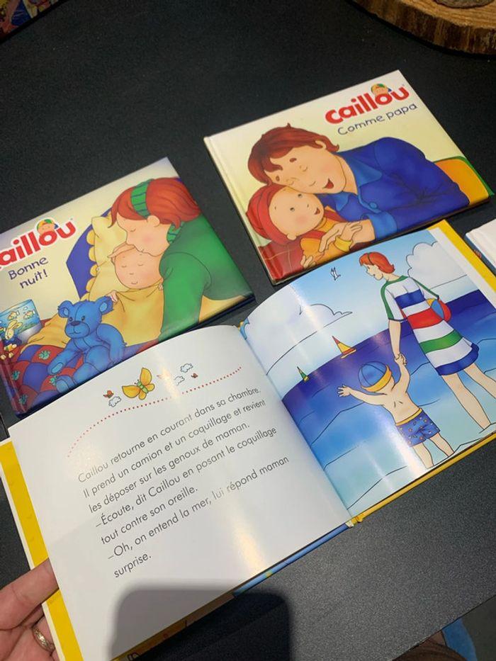 Livres caillou - photo numéro 3