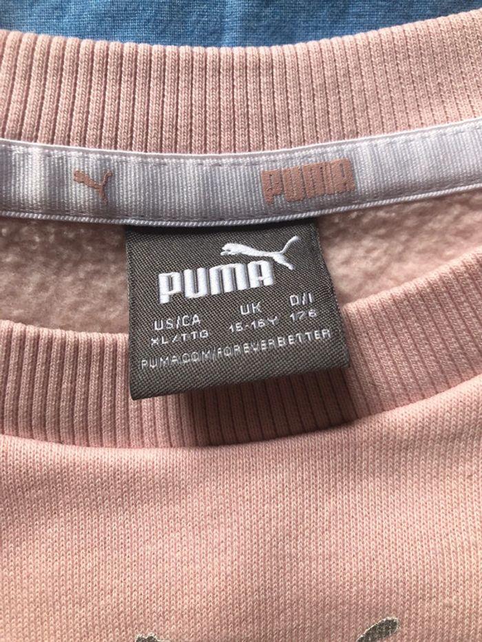 Pull puma - photo numéro 2