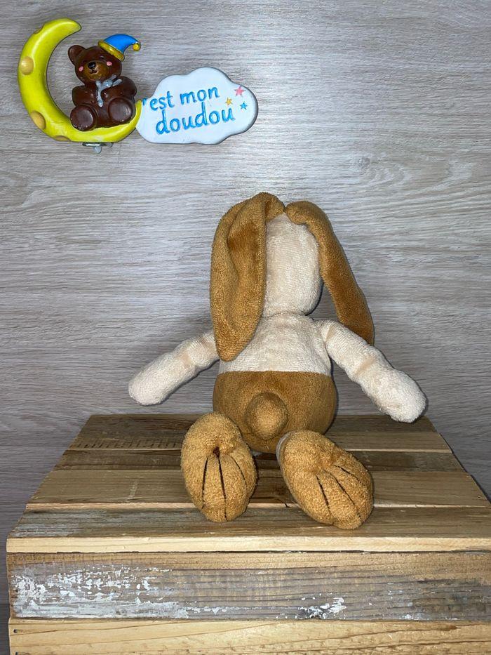 DIV323 doudou lapin 🐰 CIAD - photo numéro 2