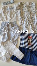 Lot 7 articles