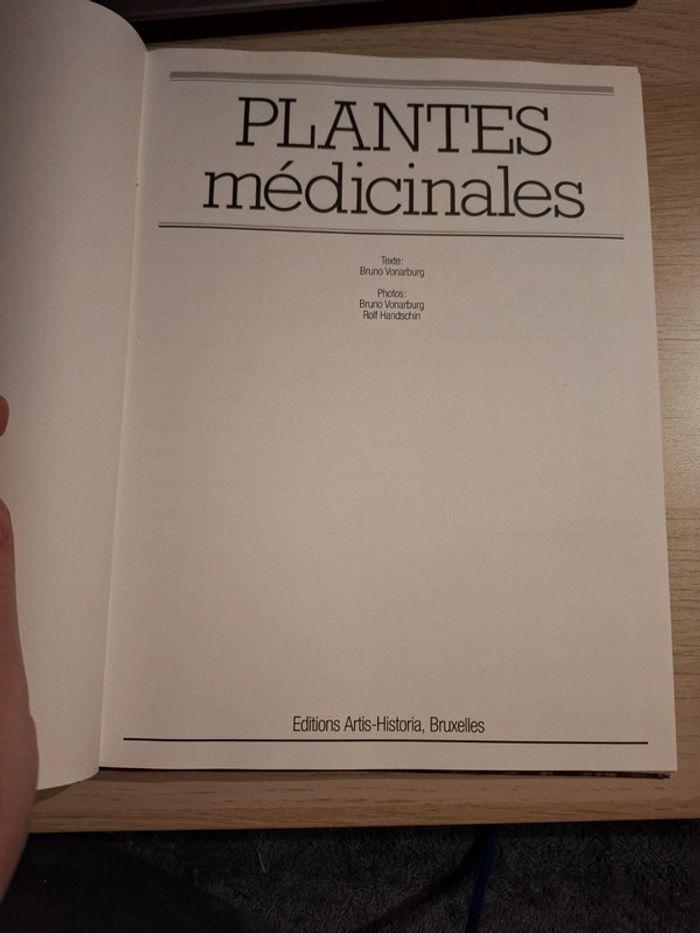 Plantes médicinales - photo numéro 3