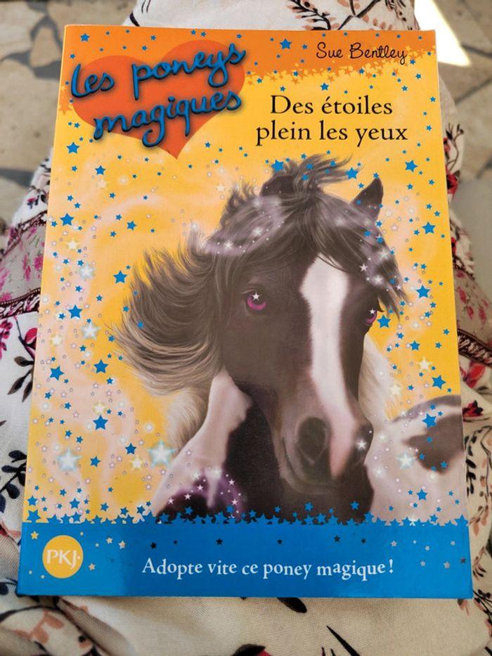 Les poneys magique n°3 - photo numéro 1