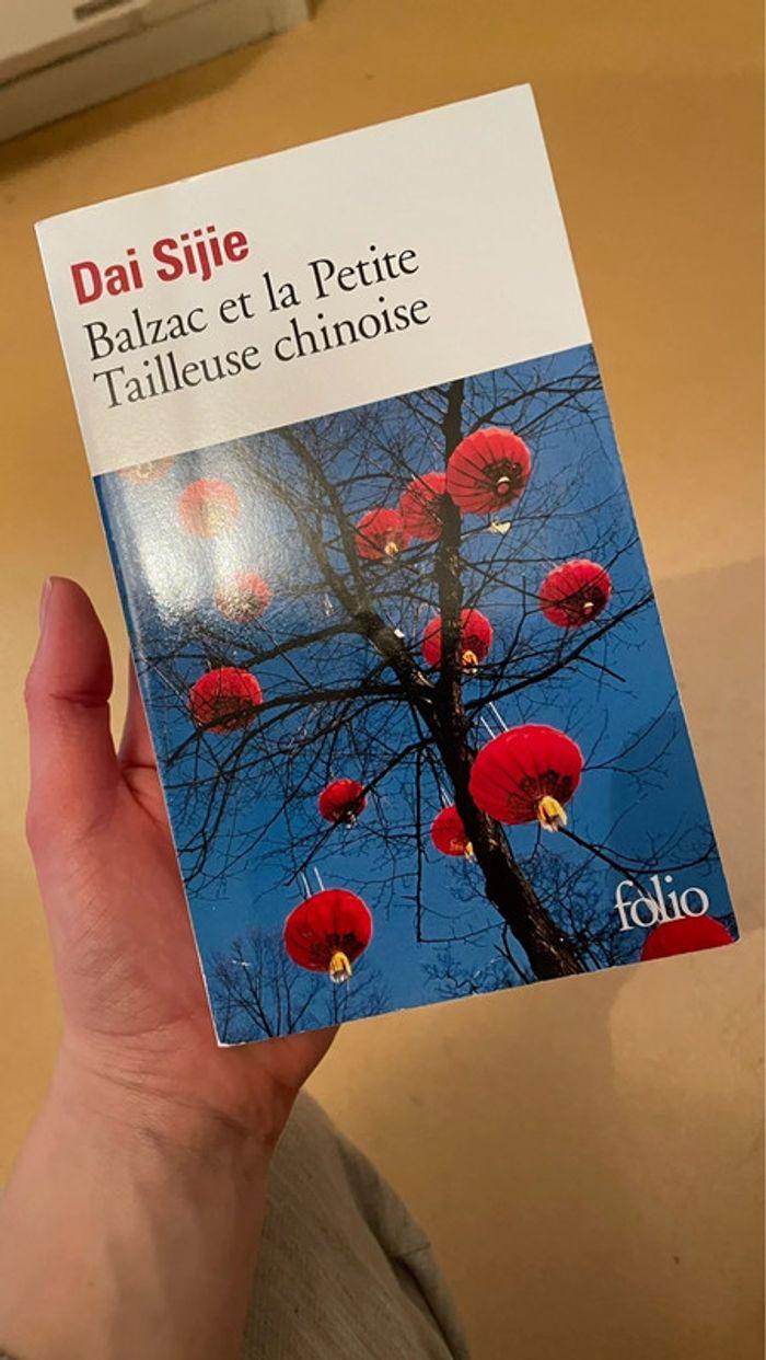 Balzac et la petite tailleuse chinoise - photo numéro 1