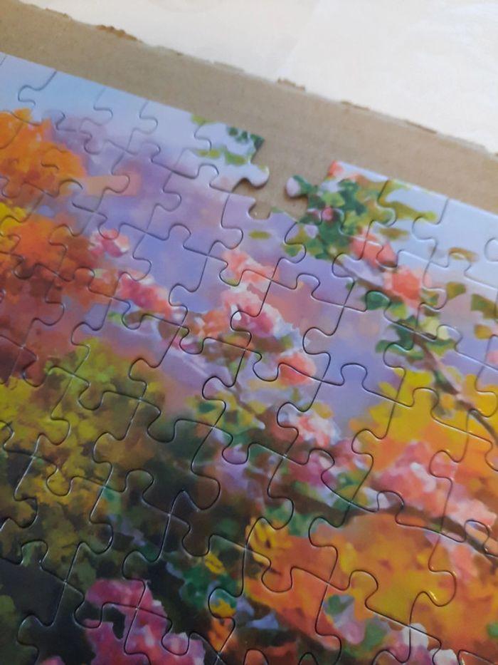 Puzzle - photo numéro 3