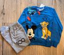 Ensemble Disney