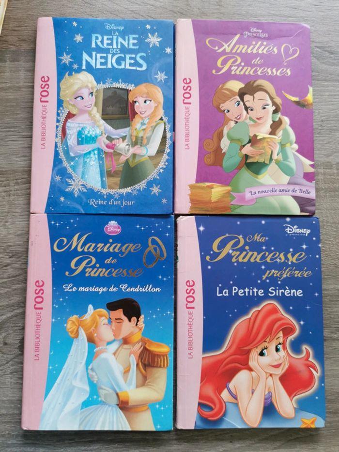 Livre princesse - photo numéro 1