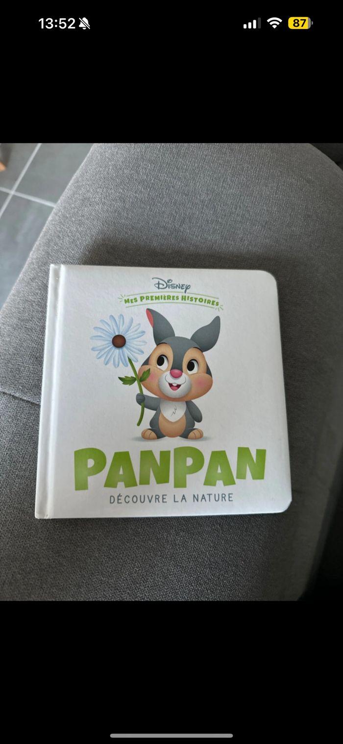 Livre Disney baby Panpan - photo numéro 1