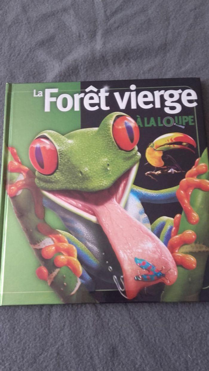 la forêt vierge - photo numéro 1