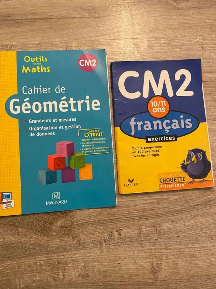 Lots livres cm2 géométrie et français - photo numéro 1