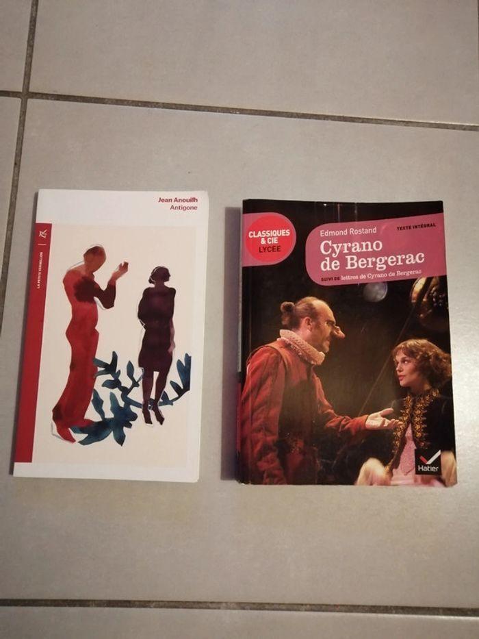 Lot de 2 livres - photo numéro 1