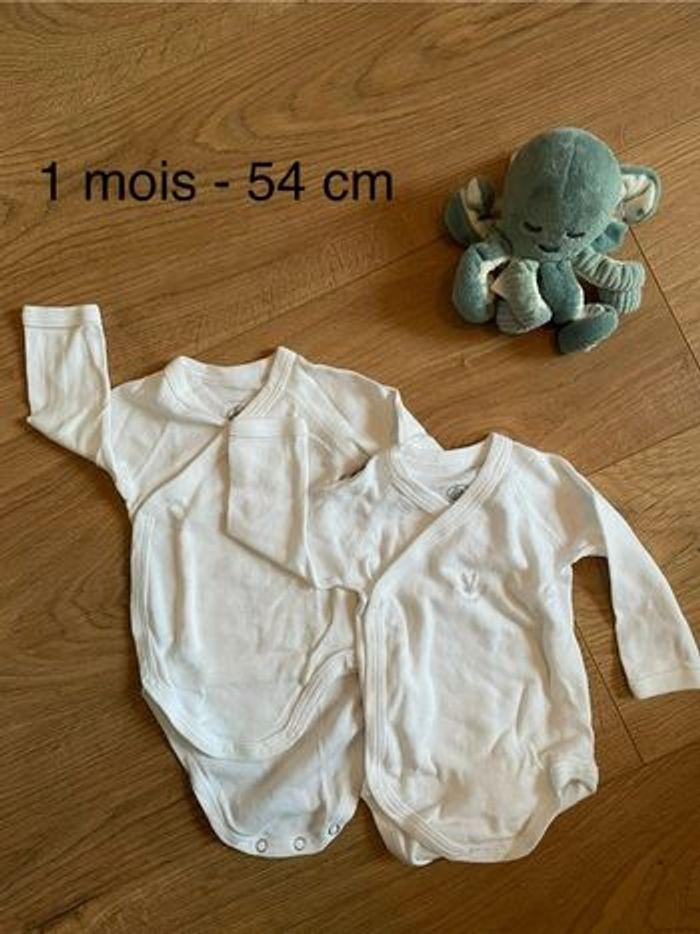 Lot 2 bodies petit bateau 1 mois