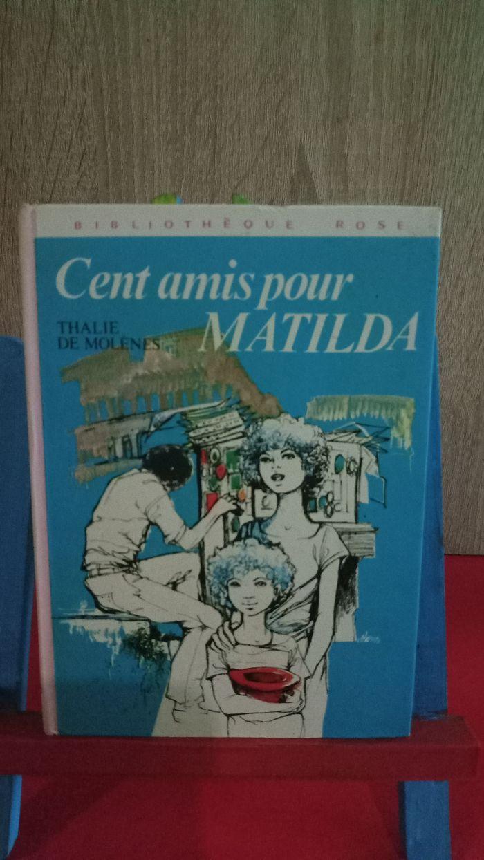 Cent amis pour Matilda, 1976, bibliothèque rose - photo numéro 1