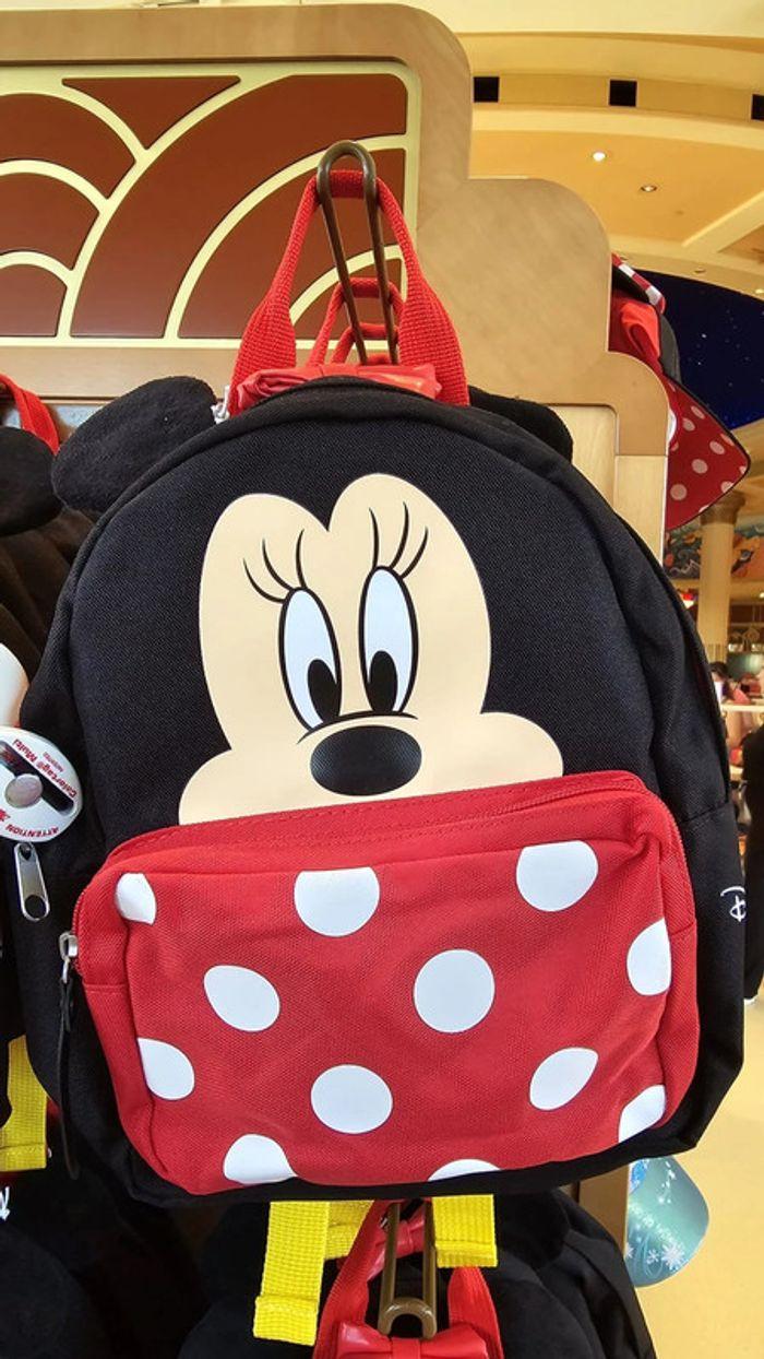 Sac Minnie - photo numéro 1