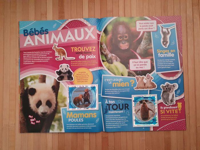 Album Topps "Animaux National Gerographic" Complet - photo numéro 11