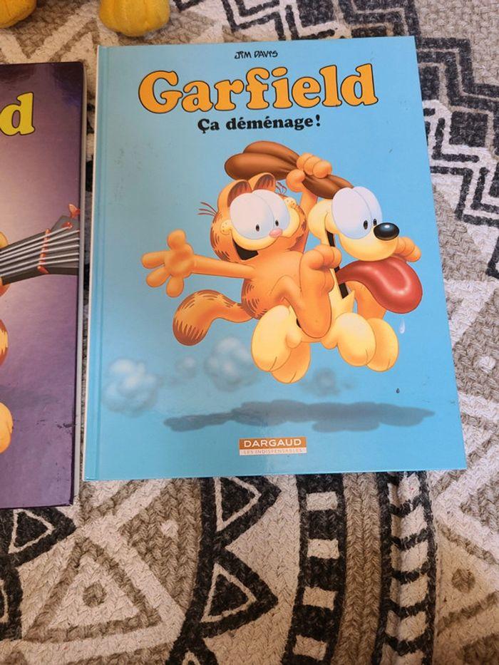 Lot bd + peluche Garfield - photo numéro 3