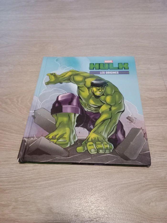 Hulk les origines - photo numéro 1