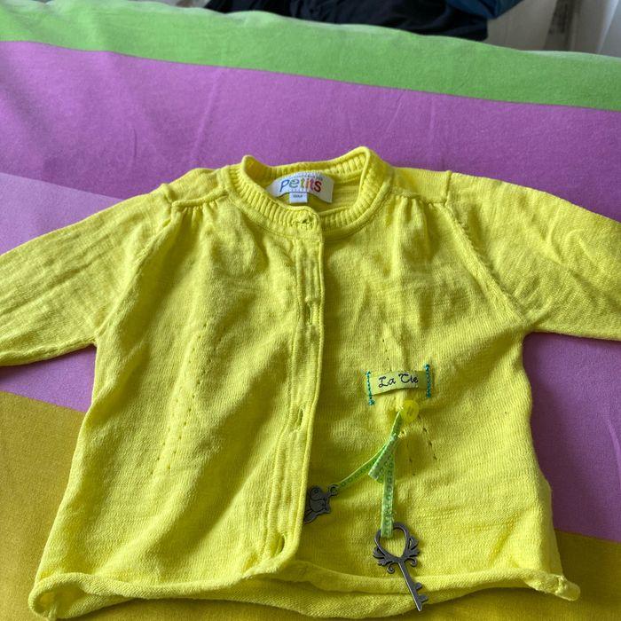 Lot t-shirt , gilets, short compagnie des petits - photo numéro 5