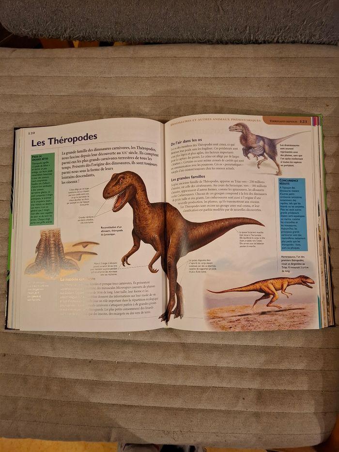 Les Encyclopes:  Les dinosaures et autres animaux préhistoriques - photo numéro 3