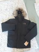 Parka Arctic noir homme the north Face