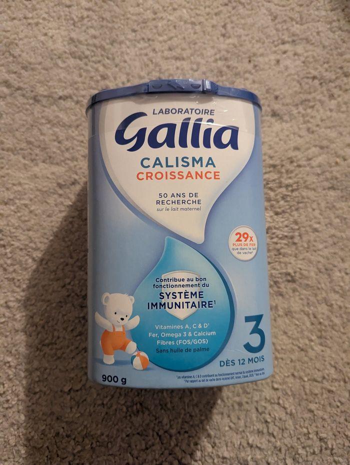 Gallia calisma 3 - photo numéro 1