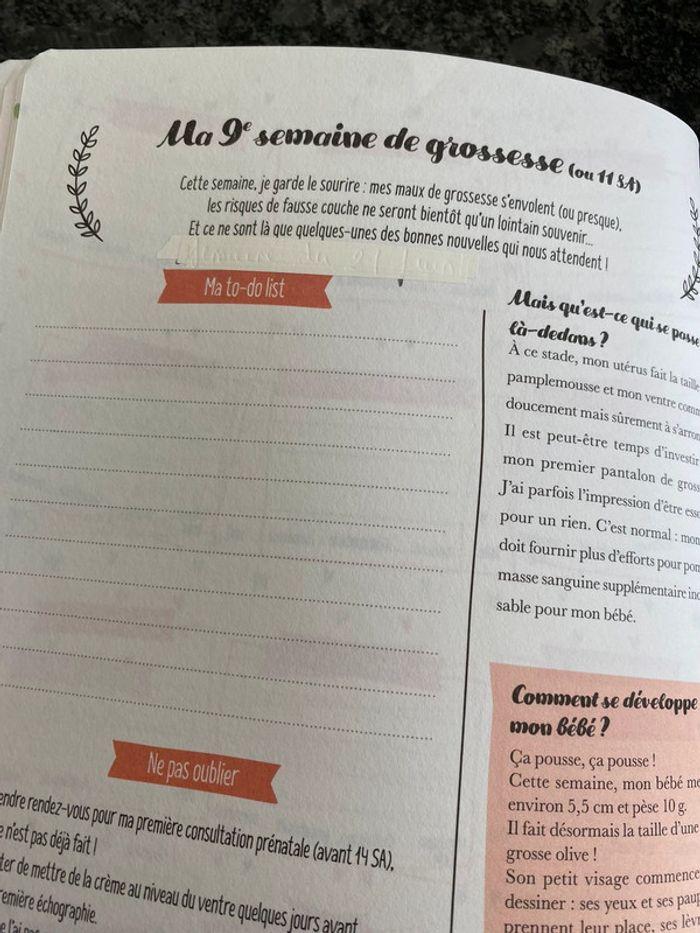 Petit journal de ma grossesse - photo numéro 6