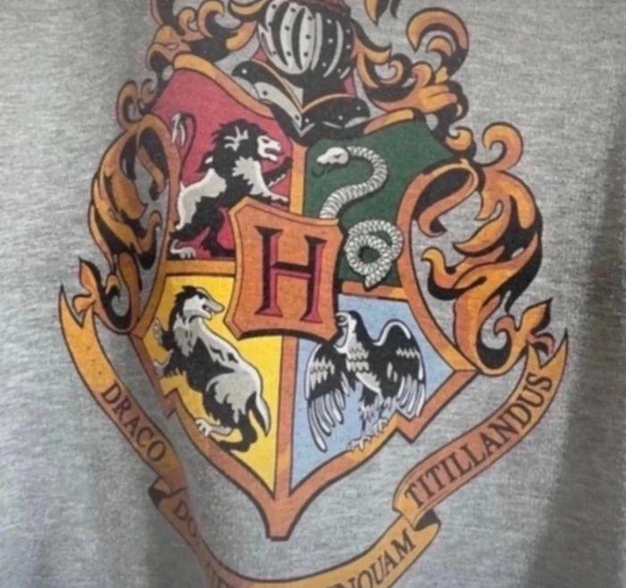 Sweat Harry Potter - photo numéro 2